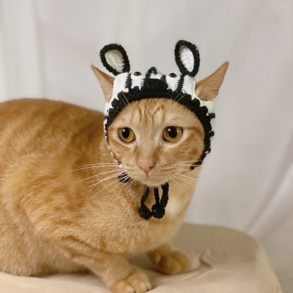 Cute Crochet Zebra Hat