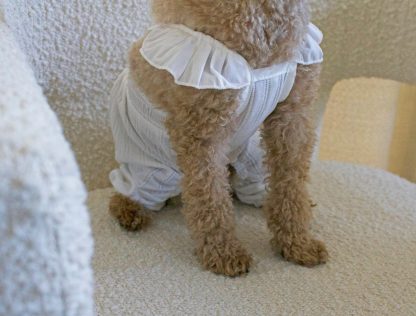 Cute pet clothes - Image 5