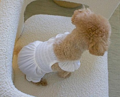 Cute pet clothes - Image 4