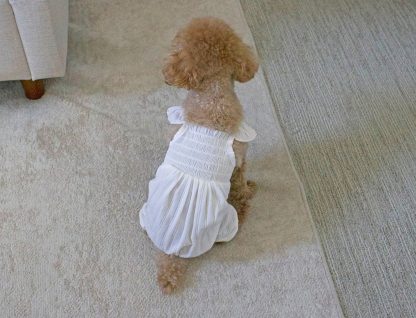 Cute pet clothes - Image 3