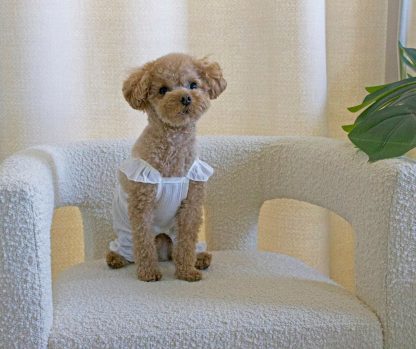 Cute pet clothes