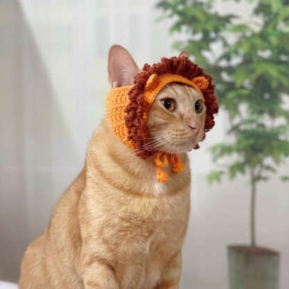 Cat with lion hat - Image 6