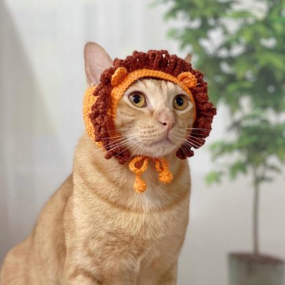 Cat with lion hat