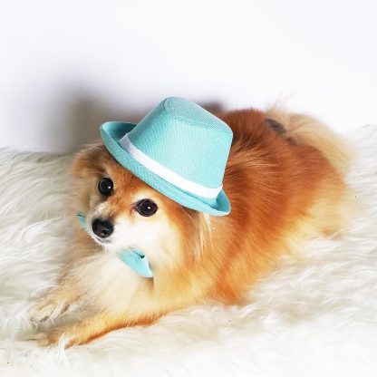 Pet Fashion Accessories Set - Image 5