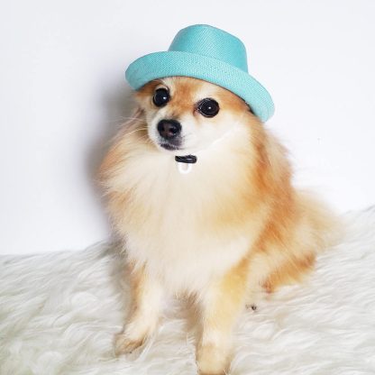 Pet Fashion Accessories Set - Image 4