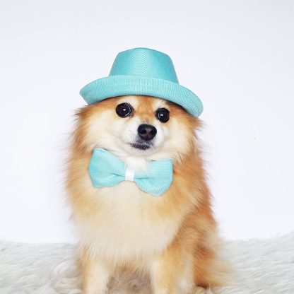 Pet Fashion Accessories Set