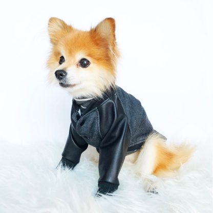 Pet trendy patchwork top - Image 5