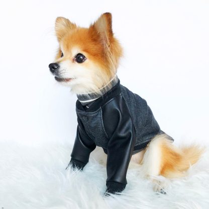 Pet trendy patchwork top - Image 3