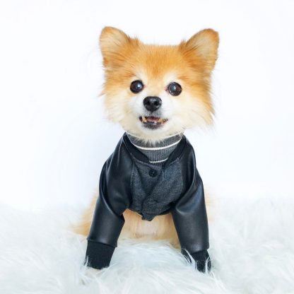 Pet trendy patchwork top