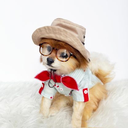 Pet Retro Detective Hat - Image 5