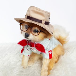 Pet Retro Detective Hat