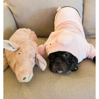 Pet puppy hoodie pig piggy