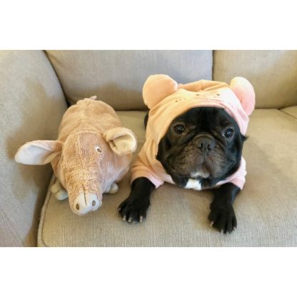 Pet puppy hoodie pig piggy - Image 2