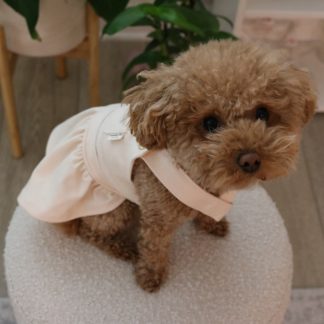 Dog cute onesie