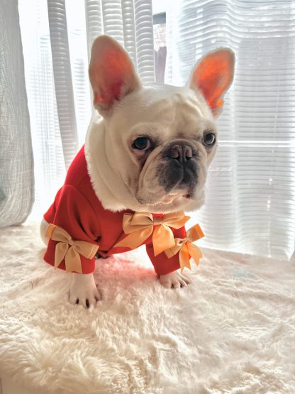 DogCatPetChristmasRedCoat - Image 2