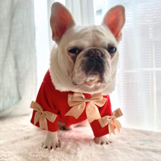DogCatPetChristmasRedCoat