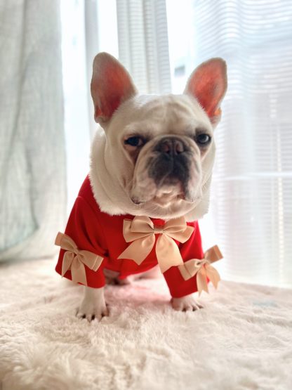 DogCatPetChristmasRedCoat