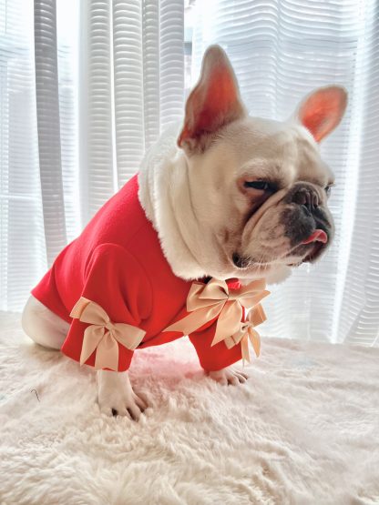 DogCatPetChristmasRedCoat - Image 3