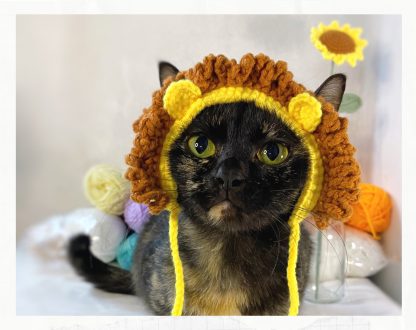 Cat with lion hat - Image 4