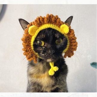Cat with lion hat