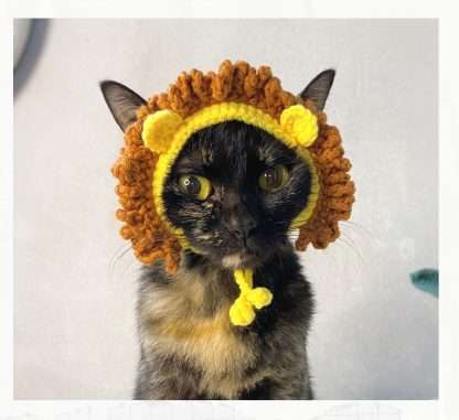 Cat with lion hat