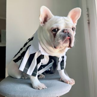 Black and white striped suit pet dog cat clothing