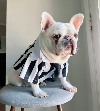 Black and white striped suit pet dog cat clothing
