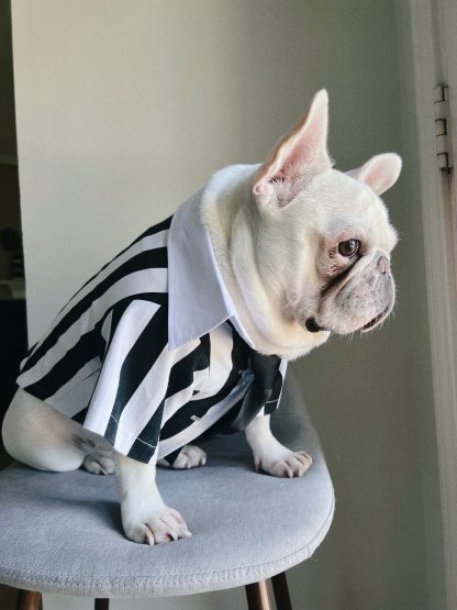 Black and white striped suit pet dog cat clothing - Image 2