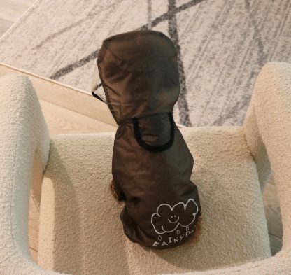 Pet transparent mask raincoat - Image 5