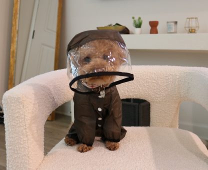 Pet transparent mask raincoat - Image 4