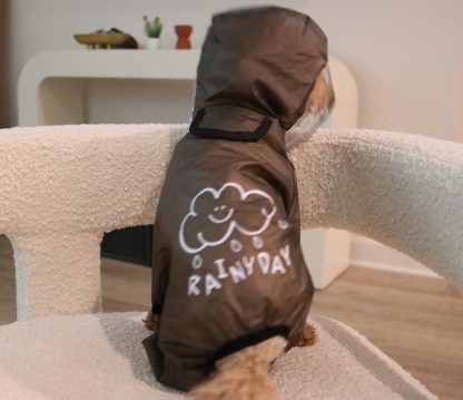 Pet transparent mask raincoat - Image 3