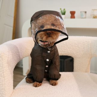 Pet transparent mask raincoat