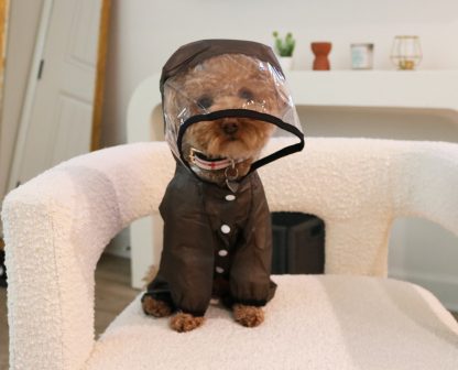 Pet transparent mask raincoat