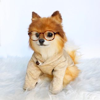 Vintage Pet Top Set