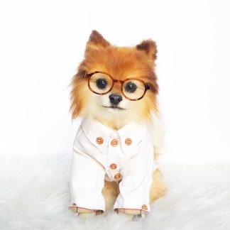 Fashion Dog Shirts