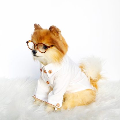 Fashion Dog Shirts - Image 5