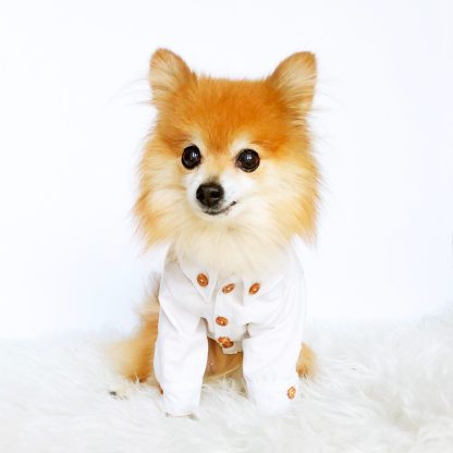 Fashion Dog Shirts - Image 4