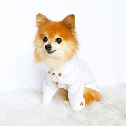 Fashion Dog Shirts - Image 2