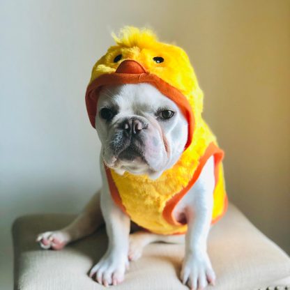 Pet Yellow Duck Hoodie - Image 3
