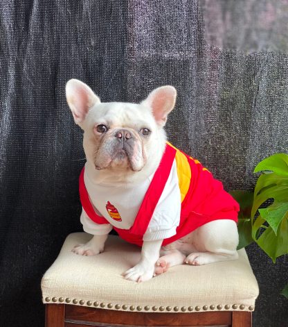 Pet 3D French Fries Onesie - Image 4