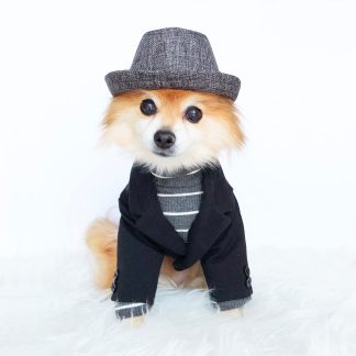 Pet Fashion Blazer