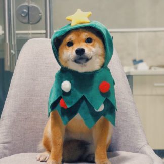 Dog Cat Pet Christmas Tree Costume