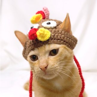 Handmade Cat Turkey Hat