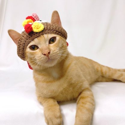 Handmade Cat Turkey Hat - Image 3