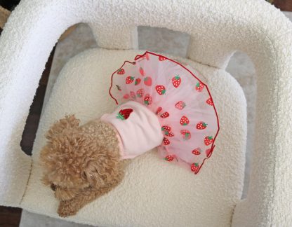 Cute Strawberry Pet Skirt - Image 4