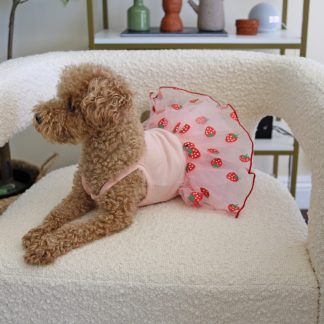 Cute Strawberry Pet Skirt