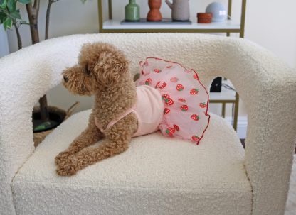 Cute Strawberry Pet Skirt