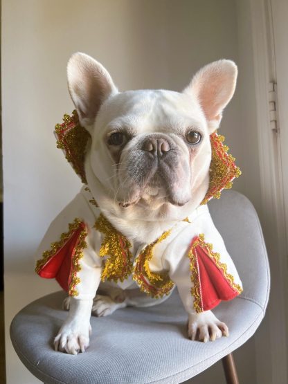 Elvis Pets Cats and Dogs Halloween Costumes - Image 5