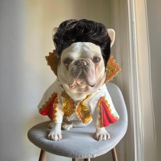 Elvis Pets Cats and Dogs Halloween Costumes
