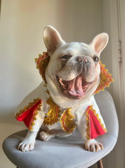 Elvis Pets Cats and Dogs Halloween Costumes - Image 2